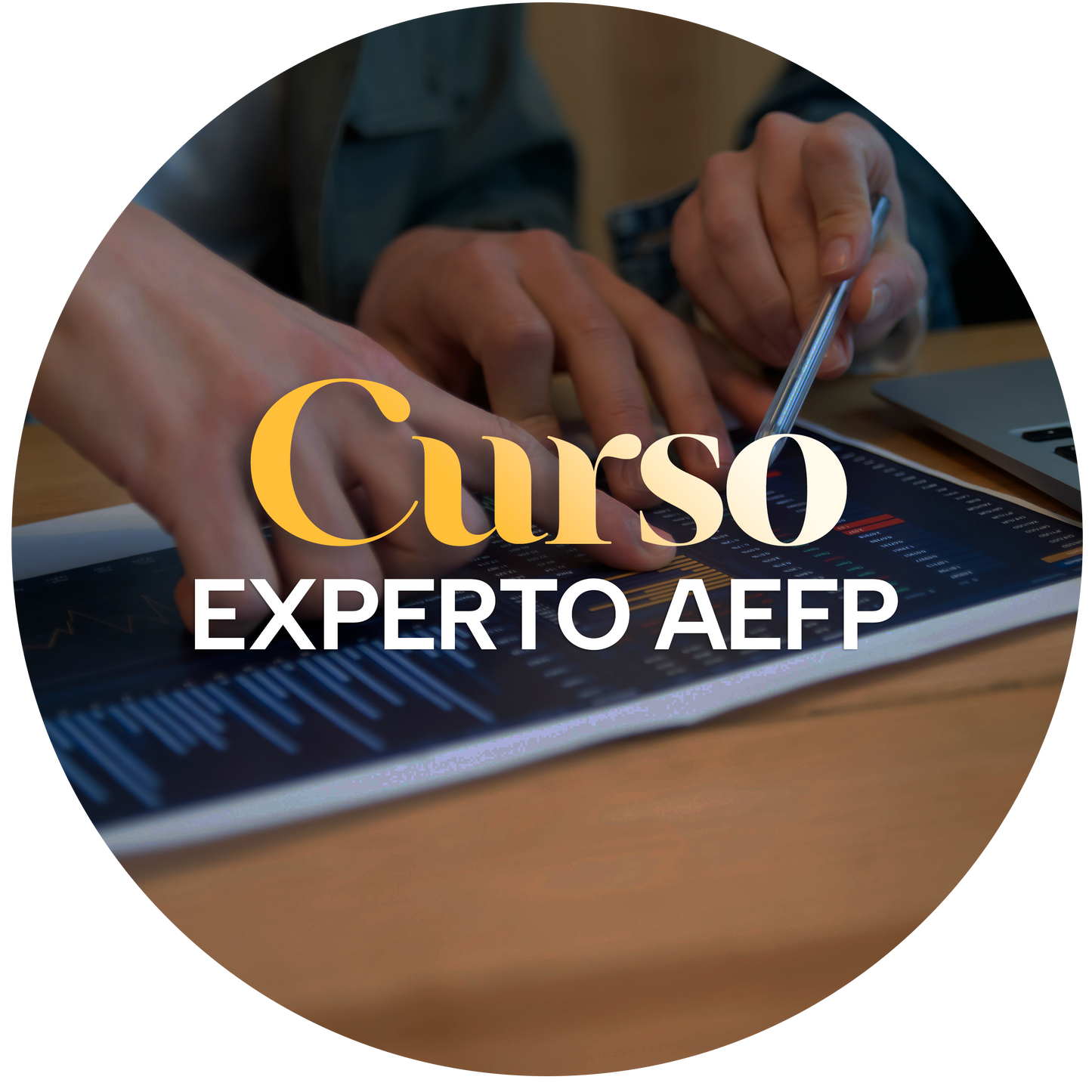 Curso Asesor Experto AEFP