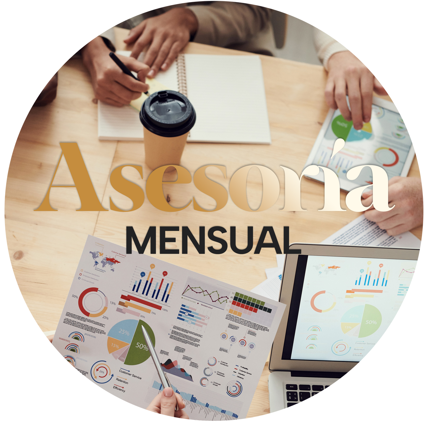 Asesoría Mensual