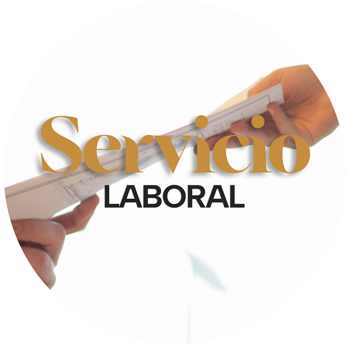 Servicio Laboral